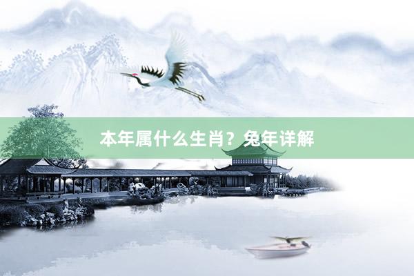 本年属什么生肖？兔年详解